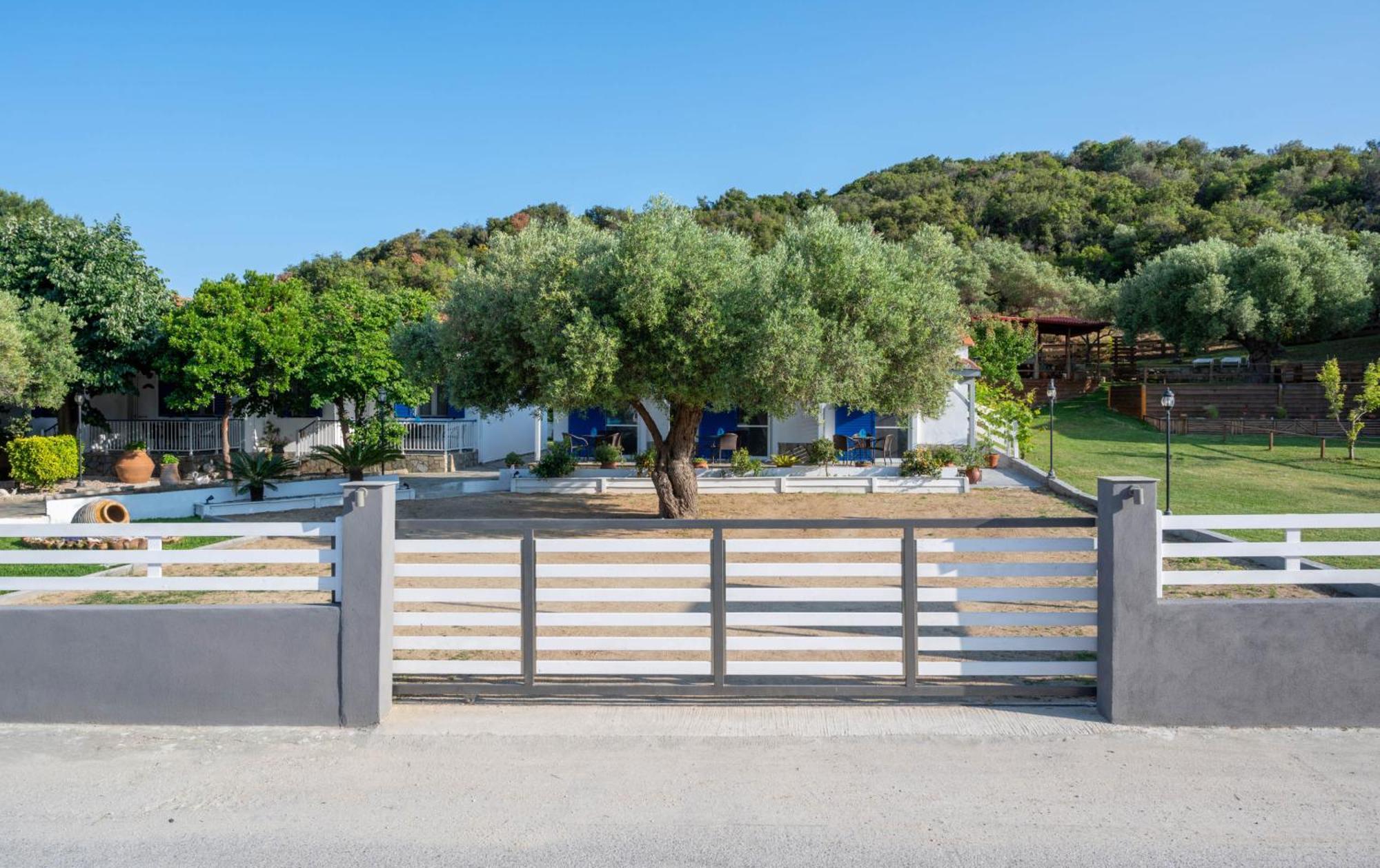 Studios Vagelis Kalamítsion Exteriör bild